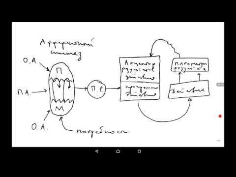 Video: Xpress. Komfortklasse Arkitektoniske Systemer