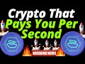 Why Zebec Could Be the Next Big Crypto Breakout of 2026 ZBCN COIN news