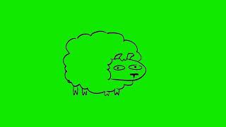 Funny Sheep Cartoon Animated Green Screen Video