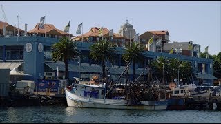 The benefits of a redeveloped Sydney Fish Market