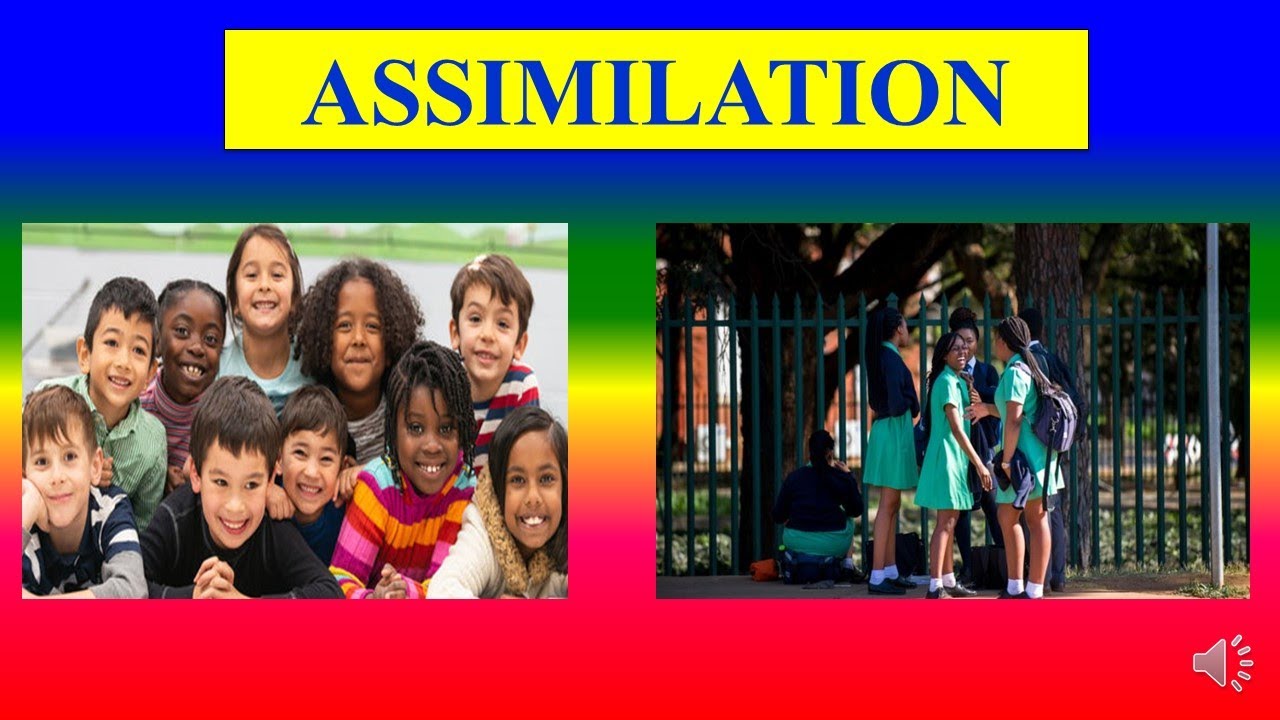 ASSIMILATION Meaning definition Factors Influencing Sociology 