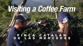 Backstage at a Coffee Farm: EPIC visit to Finca Catalan