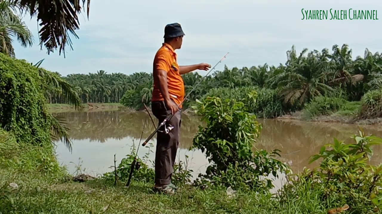 Tempat Mancing Di Selangor - Better Than College