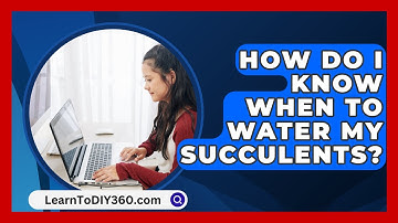 How Do I Know When To Water My Succulents? - LearnToDIY360.com
