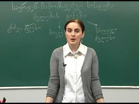 საყრდენ მამოძრავებელი სისტემა. II ნაწილი