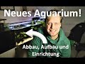 Neues Aquarium! Biotopaquaristik - Nächster Umbau im Fischraum