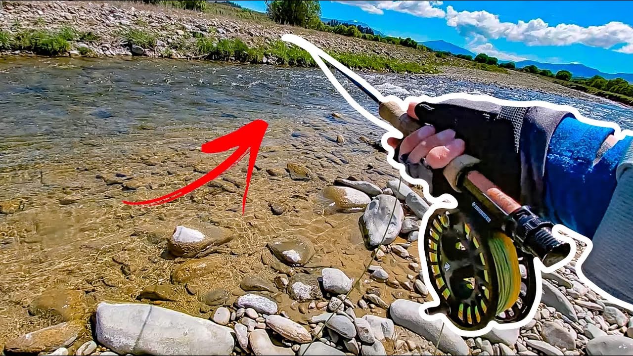Sight Fishing Large Trout (Back Country) Ft 