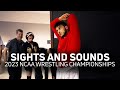 Sights and Sounds: 2023 NCAA Wrestling Championships