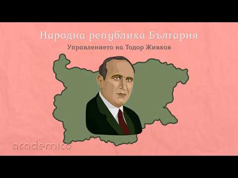 Видео: Защо възниква обществото