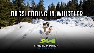 Dogsledding in Whistler