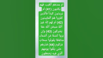 أَمۡ لَهُمۡ إِلَٰهٌ غَيۡرُ ٱللَّهِۚ سُبۡحَٰنَ ٱللَّهِ عَمَّا يُشۡرِكُونَ(سورة الطور) 
