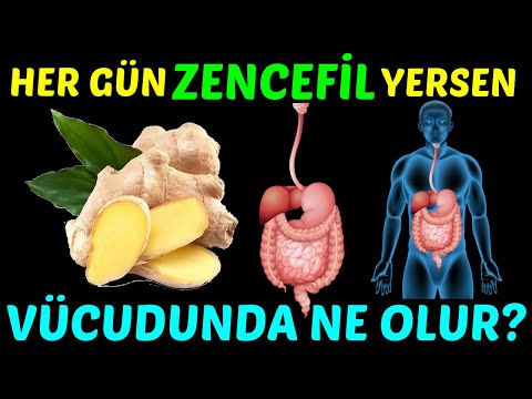 HER GÜN ZENCEFİL YERSENİZ VÜCUDUNUZDA NE OLUR?