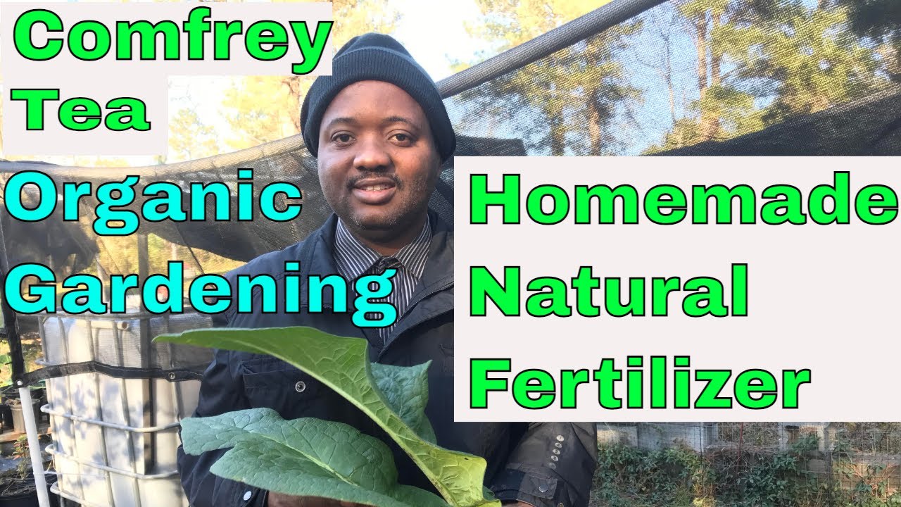 Ep. 1 Homemade Organic Liquid Fertilizer For Vegetables made from