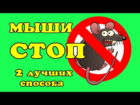 Как избавиться от мышей. - YouTube