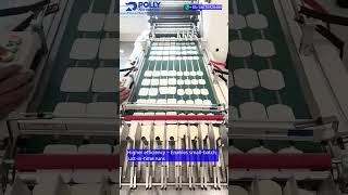 The innovative resizable collector for the multiple IML lines collect and stacking by PollyAutomatic