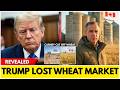 THIS BACKFIRED: Canada's Wheat BYPASSES U.S. Markets — Trump's Tariffs SHOCKED U.S. Food Market