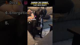 Ranking The Funniest Dancing Dog Moments