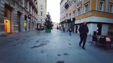 Officia esse 1005022