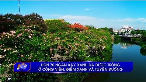 Hơn 70 ngàn cây xanh đã được trồng ở công viên, điểm xanh và tuyến đường TP Huế