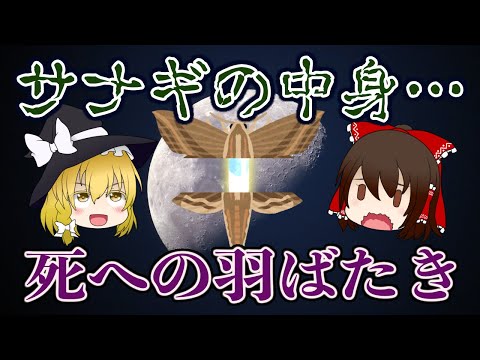 【ゆっくり解説】サナギの中身はドロドロ？「死への羽ばたき」とは