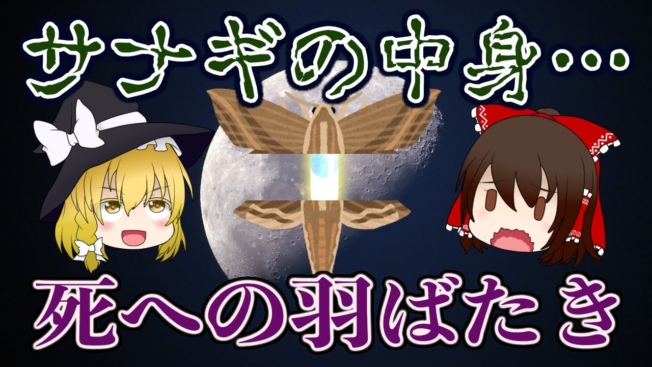 ゆっくり解説 サナギの中身はドロドロ 死への羽ばたき とは Youtube