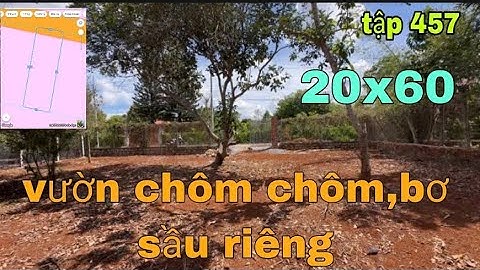 VƯỜN TRÁI CÂY ĐỦ LOẠI,ĐẤT ĐỎ BAZAN LÀM NHÀ VƯỜN NGHĨ DƯỠNG HOẶC ĐẦU TƯ SINH LỜI.GIÁ CHỈ 3TY2 TL