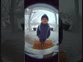 The Best Viral Sora 2 Youtube Shorts Niches (Get Million of Views) #shorts #qvid #ai #sora2