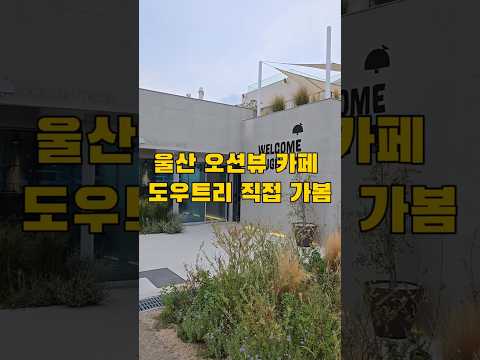 #울산도우트리 #도우트리카페 #오션뷰카페 #간절곶카페 #울산카페 #울주카페 #공인중개사 #바다뷰카페 #울산핫플 #카페리뷰 #울산여행 #서생카페 #카라반