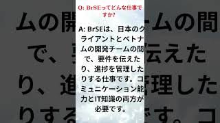 Brseってどんな仕事It業界で活躍するブリッジSe