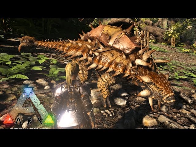 79 Ark Isl S3 ラグナロクは特選天国 アンキロサウルス ドエディクルス Pc版公式pve Ark Survival Evolved Youtube