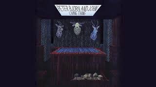 Peter Bjorn and John - Nothing To Worry About