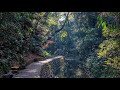 4K Tokyo Walk - Todoroki - Local Streets and a Beautiful Ravine - 等々力渓谷