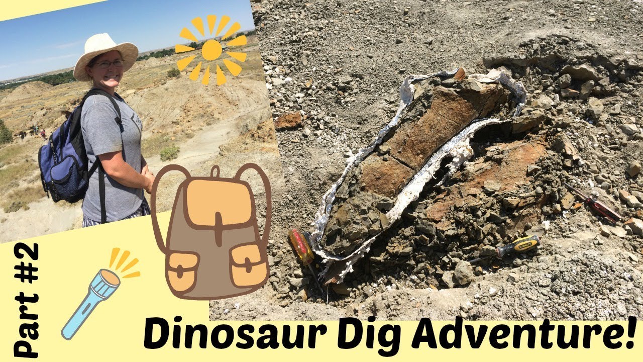 Digging Adventure Dinosaur Dig Adventure Part 2 - YouTube