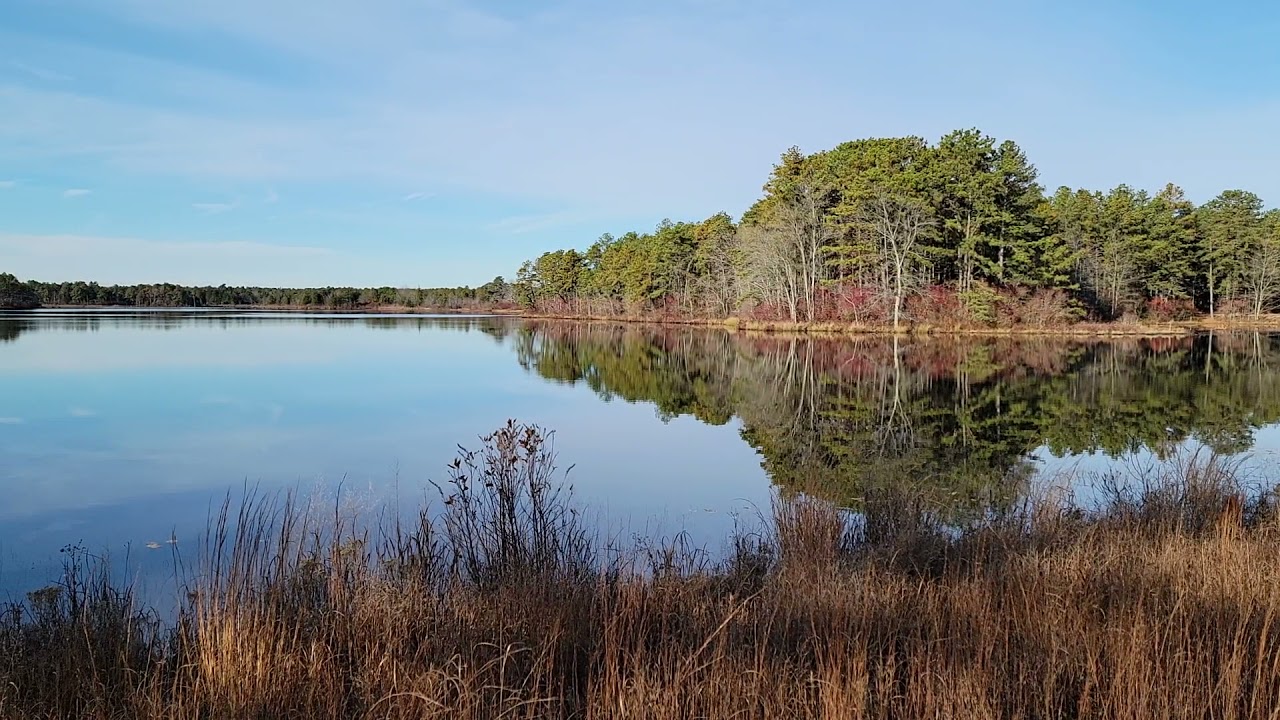 Colliers Mills Wildlife Management Area YouTube