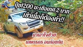 บรรทุกมะเขือเทศ อมก๋อย ราคาถูกก็ต้องทำ #บรรทุก #มะเขือเทศ #อมก๋อย #isuzu #revo #KruDoi4x4