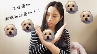 【Celia】留学生们，没想清楚这些前请不要养狗狗！《养狗须知》