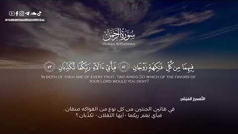 سورة الرحمن/ تلاوة هادئة/ القارئ طارق محمد/