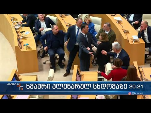 ხმაური პლენარულ სხდომაზე