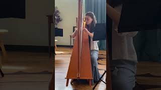 IMG 6321