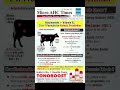 #music #love #song #veterinary #cattledisease #drveera #farm