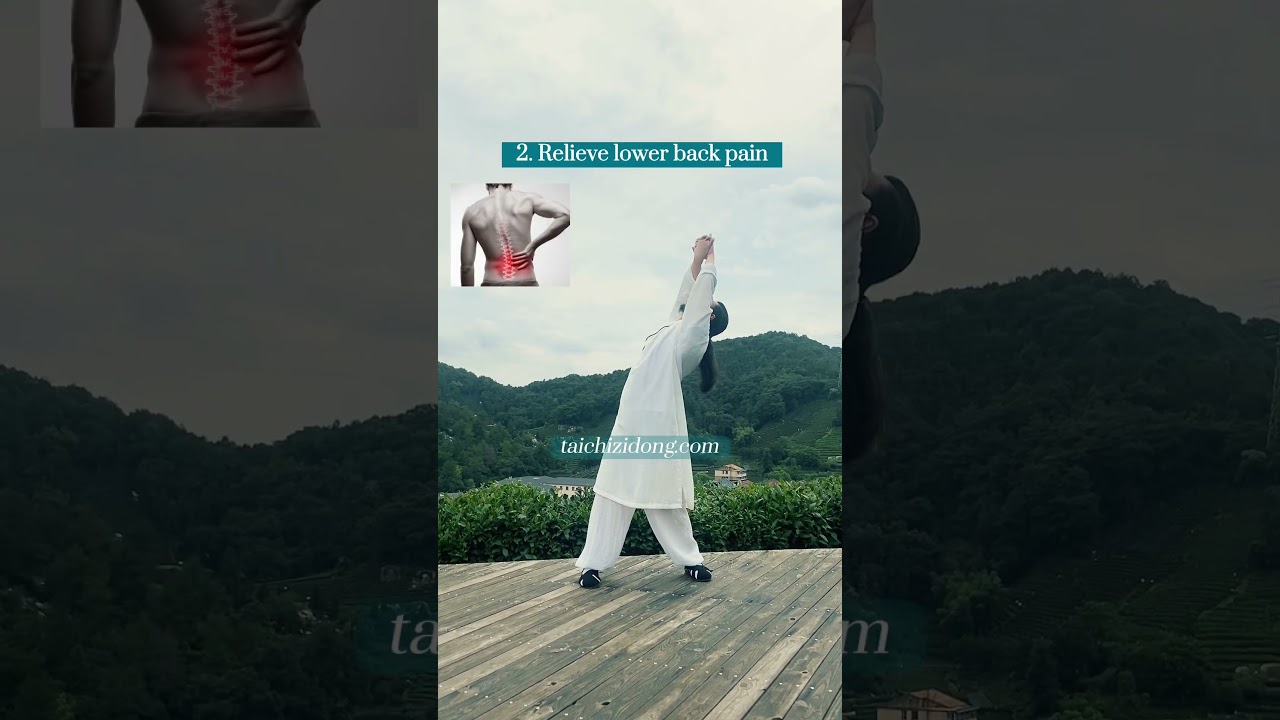 Lazy Dragon Stretch Waist