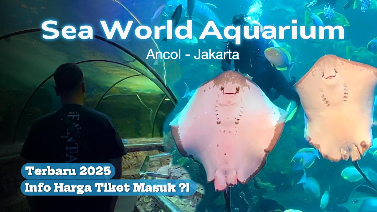 REVIEW LENGKAP! SEAWORLD AQUARIUM ANCOL JAKARTA 2025 || Daya Channel