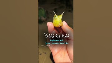 الشيطان يعدكم الفقر |✨📖🌱🌺☝️#فارس_عباد#اكسبلور#القرآن#القرآن_الكريم#تلاوات