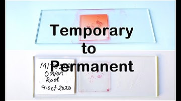How to make Permanent slide from Temporary slides of mitosis meiosis