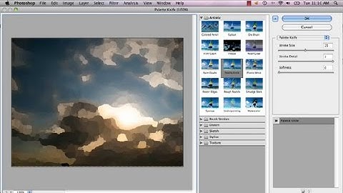 How to Make Your Picture an Oil Painting in CS5 : Advanced Photoshop CS5