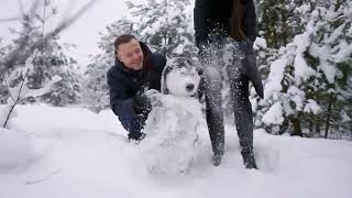Discovering the Wonders of Siberian Huskies - Fascinating Facts You Need to Know!