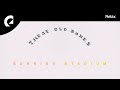 These Old Bones Sunrise Stadium mp3