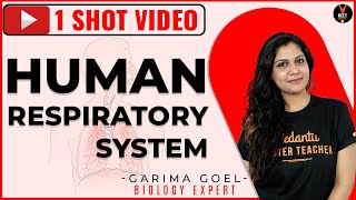 Human Respiratory System Class 11 in One Shot | NEET 2020 Preparation | NEET Biology | Garima Goel