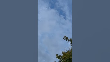سورة الصف | সূরা আস-সাফ | Surah As-Saff | सूरह अस सफ़ | Сурат ас-саф|  а