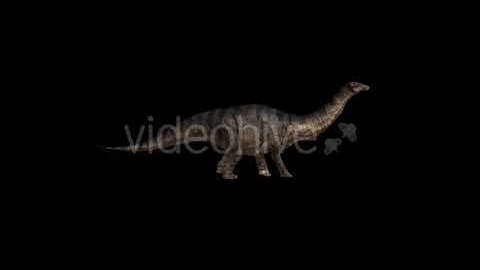Dinosaur - Brontosaurus Walking | Motion Graphics - Envato elements